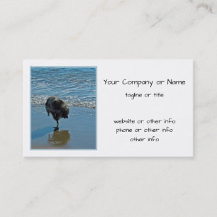 Cartão De Visita Fotografia de Balé Keeshond - Arte de Cão Origin