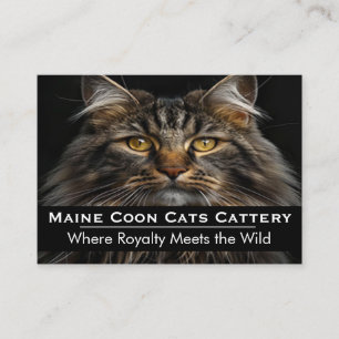 Cartão De Visita Fotografia Personalizada Cattery Maine Coon Profis