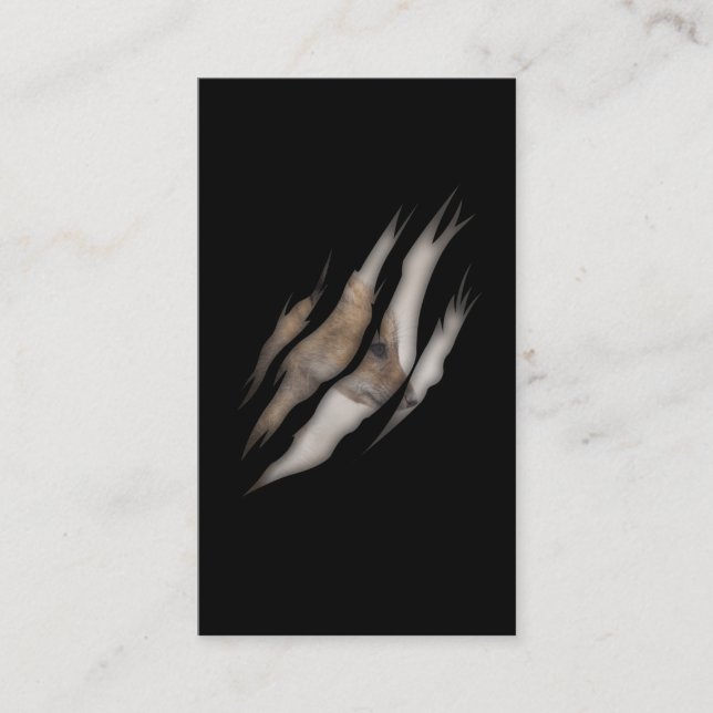 Cartão De Visita Frangos De Raposa De Bebê Cachorro (Frente)