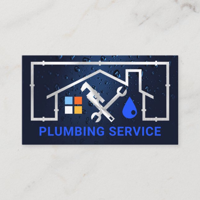 Cartão De Visita Fuga de moldura de prata (Frente)