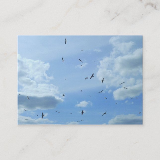 Cartão De Visita Gaivotas (Frente)