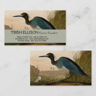 Cartão De Visita Garça Azul Grou Impressão Audubon Arte Costeira