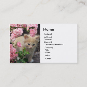 Cartão De Visita Gatinho branco e castanho