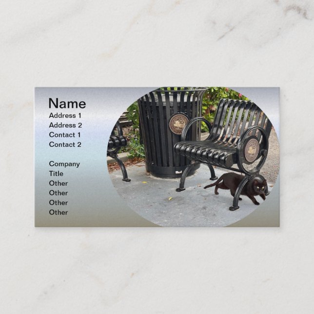 Cartão De Visita Gatinho no Parque (Frente)