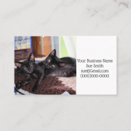 Cartão De Visita Gatinhos