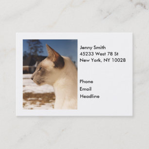 Cartão De Visita Gato de Neve - Perfil de Ponto Azul Siamês
