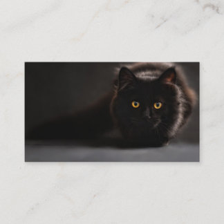 Cartão De Visita Gato preto Prowling