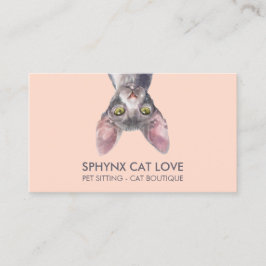 Cartão De Visita Gato Sphynx Rosa Laranja