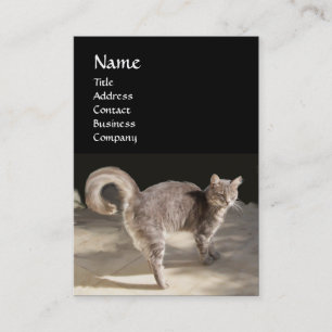 CARTÃO DE VISITA GATO, TURTEIRA E BOLA DE BASE