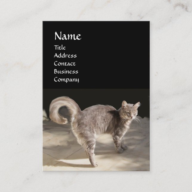 CARTÃO DE VISITA GATO, TURTEIRA E BOLA DE BASE (Frente)