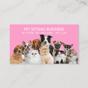 Cartão De Visita Gatos De Animais De Companhia Rosa