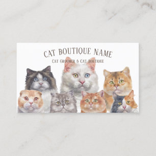 Cartão De Visita Gatos De Pet Domésticos