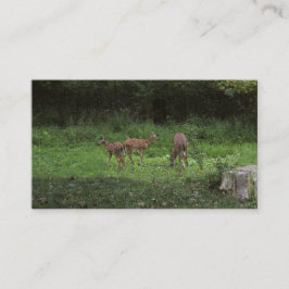 Cartão De Visita Gêmeos e seu Mama