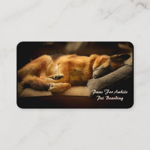 Cartão De Visita German shepherd adorável no sofá