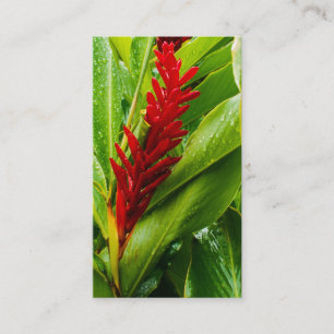 Cartão De Visita Glistening Red Ginger Flower and Rain-Kissed Leave