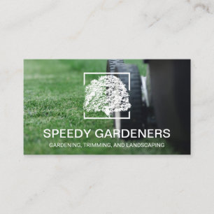 Cartão De Visita Gramínea Mower Cutando Grass   Logotipo da árvor