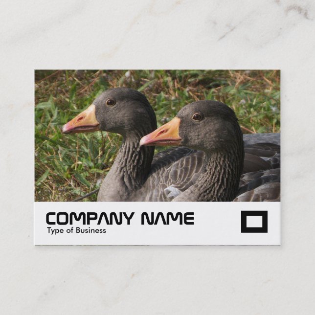 Cartão De Visita Greylag Geese (Frente)