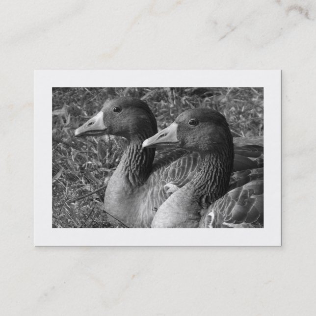 Cartão De Visita Greylag Geese B&W (Bordado) (Frente)