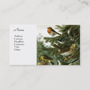 Cartão De Visita Grupo 3 do pássaro