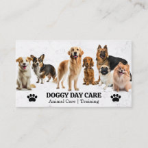 Grupo de Cães | Cuidados De Saúde Animal | Formado