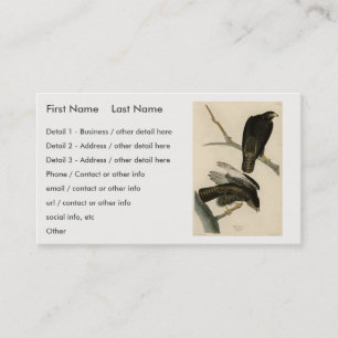Cartão De Visita Guerreiro Negro (Falcão de cauda vermelha) de Aves