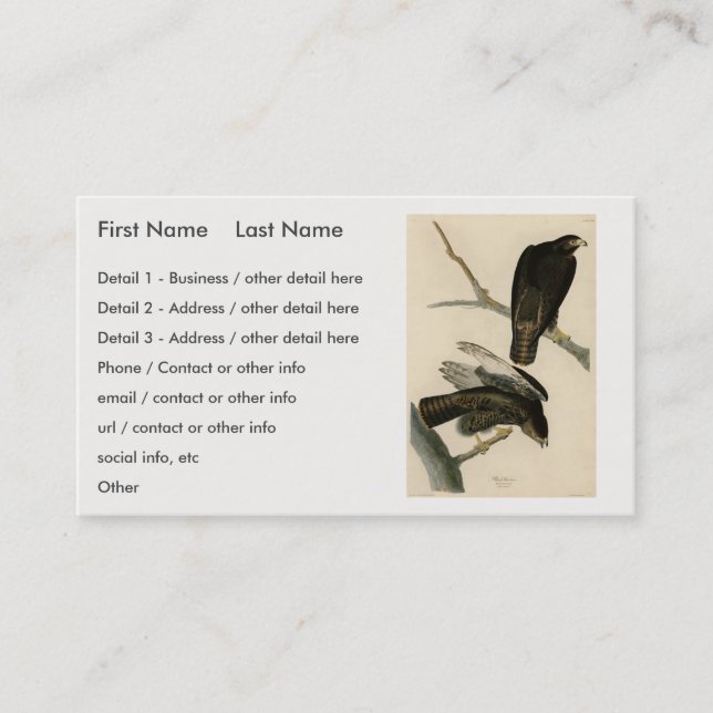 Cartão De Visita Guerreiro Negro (Falcão de cauda vermelha) de Aves (Frente)