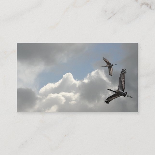 CARTÃO DE VISITA GUINDASTES DE SANDHILL (Frente)