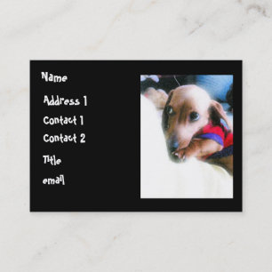 Cartão De Visita heavenlypuppy, nome, endereço 1, contato 1, Cont