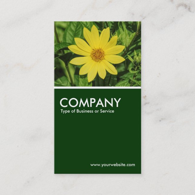 Cartão De Visita Helianthus - Verde escuro (Frente)