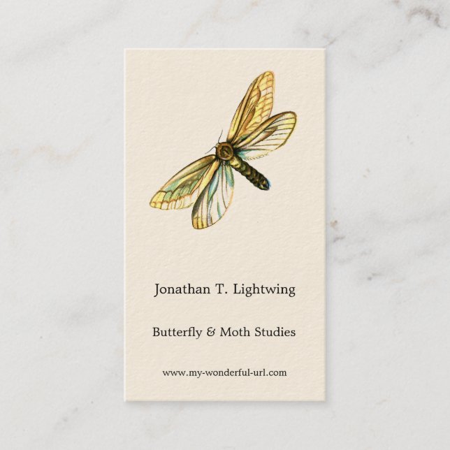 Cartão De Visita Hepialus humuli - Ghost Moth ou Ghost Swift (Frente)