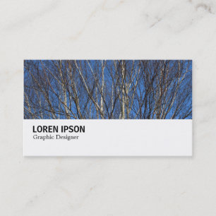 Cartão De Visita Hi-Phi - 0280 - Silver Birch Branches