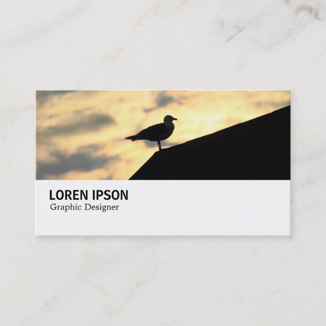 Cartão De Visita Hi-Phi - 0389 - Herring Gull Sunset (Frente)