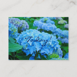 Cartão De Visita Hoje! Ame Uns aos Outros! Flores de Hortênsia Azul