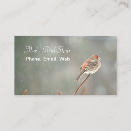 Cartão De Visita House Finch em uma filial