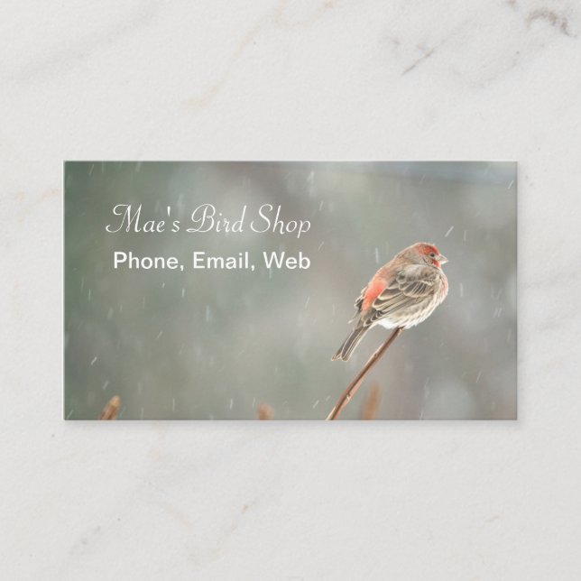 Cartão De Visita House Finch em uma filial (Frente)
