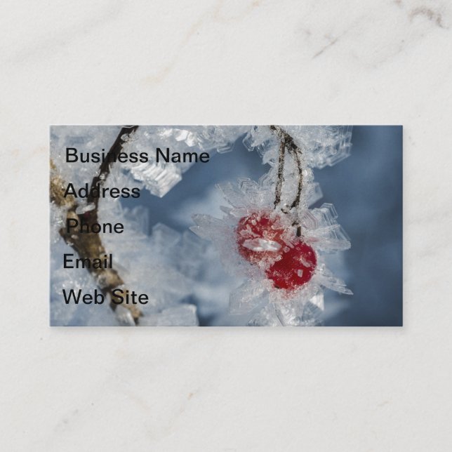 Cartão De Visita Ice Berries (Frente)