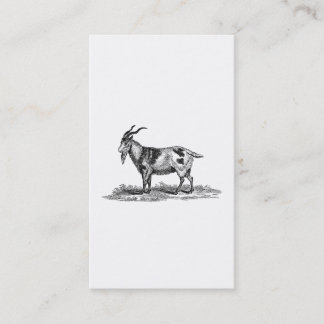 Cartão De Visita Ilustração da cabra doméstica do vintage - cabras