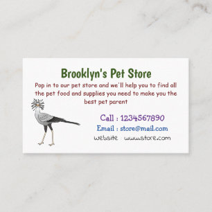 Cartão De Visita Ilustração de desenho animado do Secretário Pássar