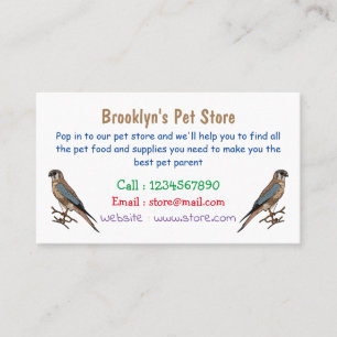 Cartão De Visita Ilustração de desenho de aves do estrel americano