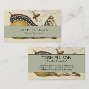 Cartão De Visita Ilustração do Inseto da Fruta da Abelha da Borbole