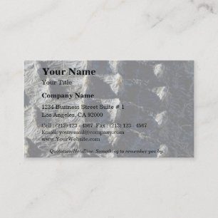 Cartão De Visita Imagem do jacaré, detalhes