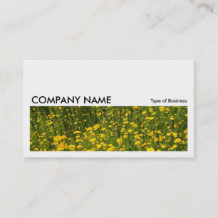 Cartão De Visita Imagem longa 0213 - Cama de margaridas amarelas