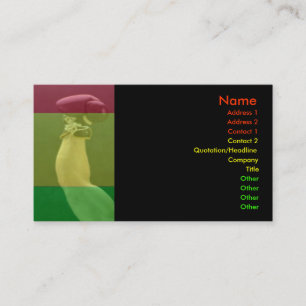 Cartão de visita in a box