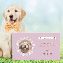 Influenciador de Pet das Redes Sociais Bonito, Ros