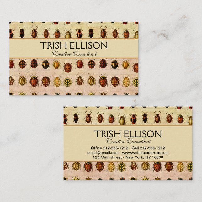 Cartão De Visita Inseto do Inseto Ladybug Ladybird Beetle (Frente/Verso)