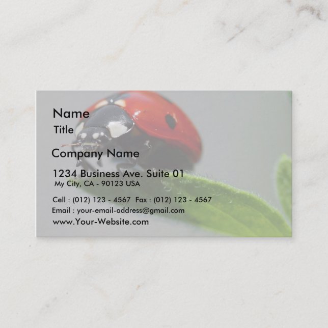 Cartão De Visita Insetos dos joaninhas (Frente)