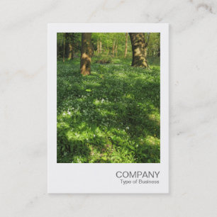 Cartão De Visita Instant Photo 073 - Primavera no bosque
