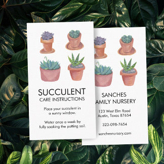 Cartão De Visita Instruções para o tratamento de plantas Cactos Suc