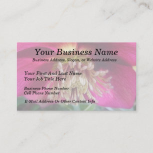 Cartão De Visita Interior De Uma Flor De Primavera Delicada