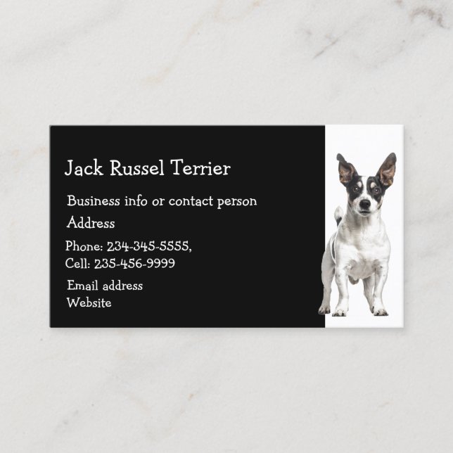 Cartão De Visita Jack Russel Terrier Dog Breeder Sitter (Frente)